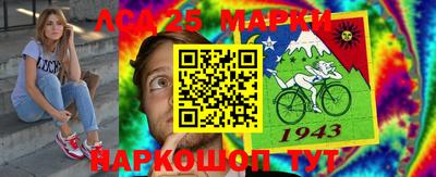 шишки Донской