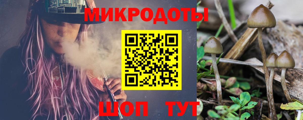 Галлюциногенные грибы Cubensis Мурино
