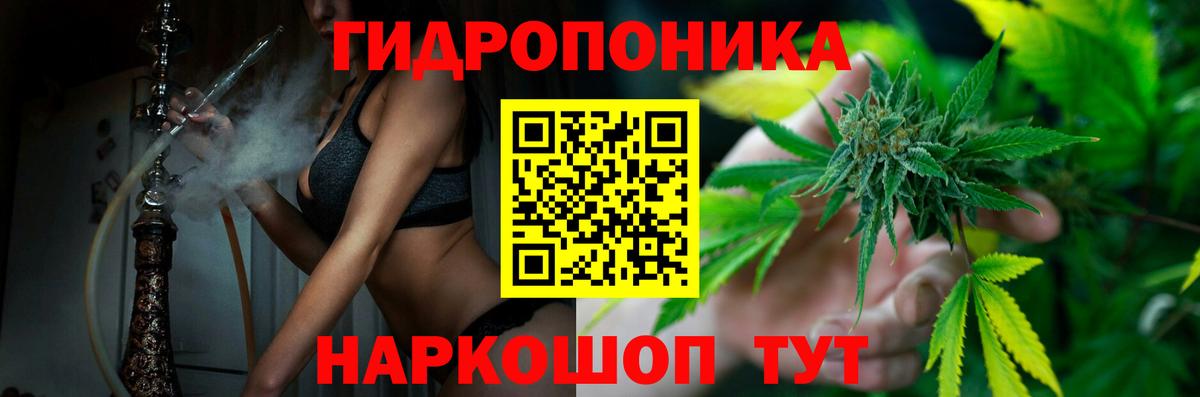 Мурино  Бошки марихуана сатива  Шишки марихуана гибрид  Вход с VPN 
